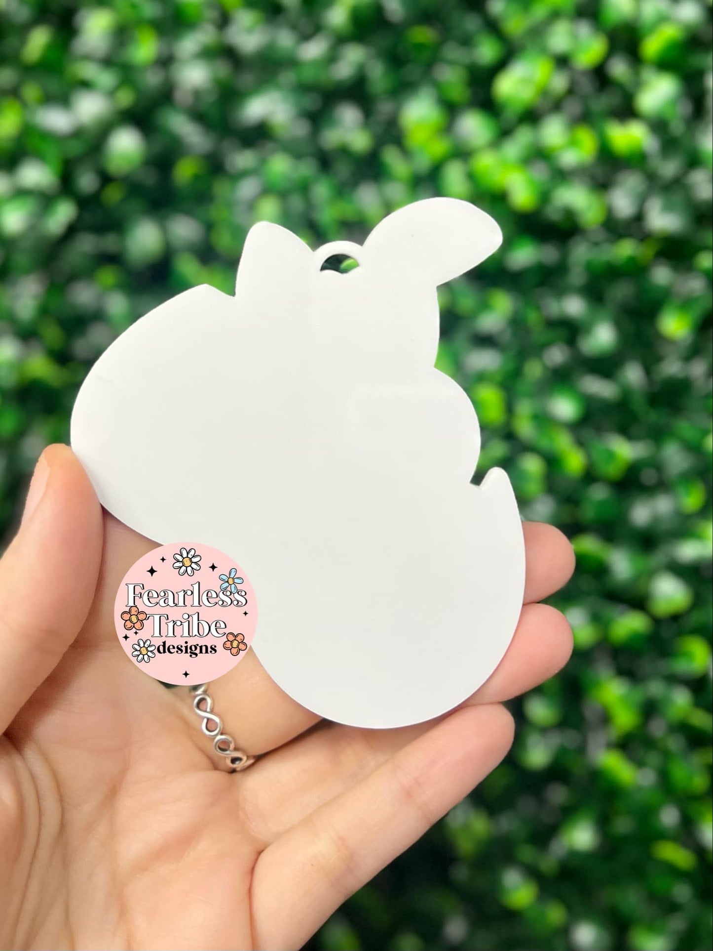 Bunny in Egg Blanks