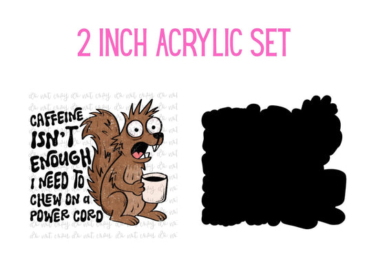 Squirrel Power Cord Set